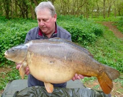 carp, Leaney descendants, Fishers pond fish and the existing Belvoir fish.
