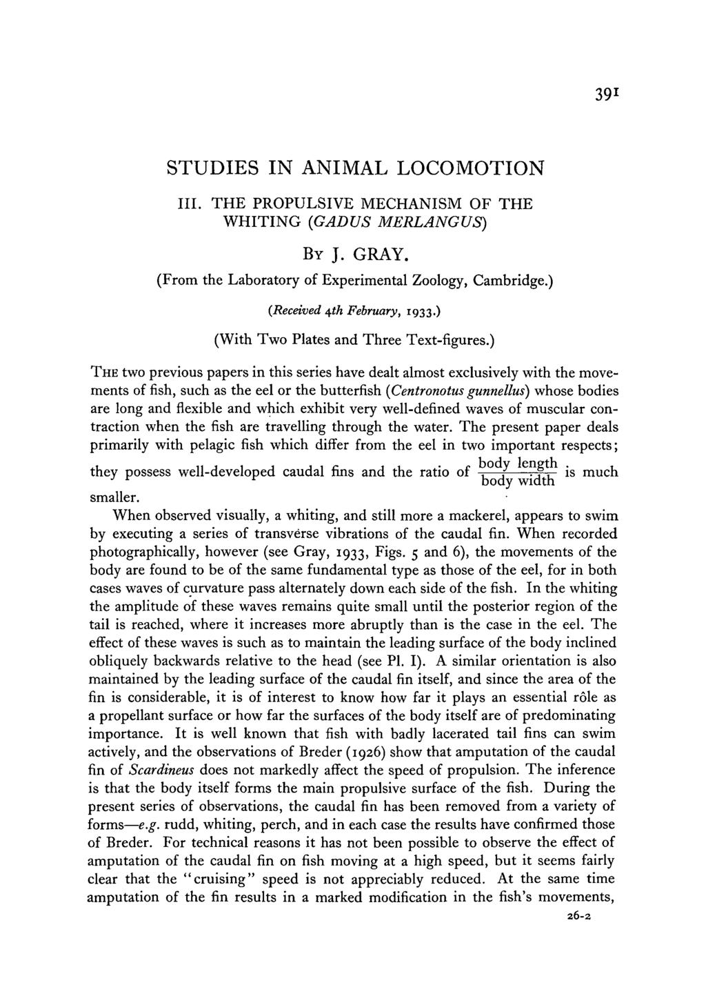 39 1 STUDIES IN ANIMAL LOCOMOTION III. THE PROPULSIVE MECHANISM OF THE WHITING (GADUS MERLANGUS) BY J. GRAY. (From the Laboratory of Experimental Zoology, Cambridge.) {Received ^th February, 1933.