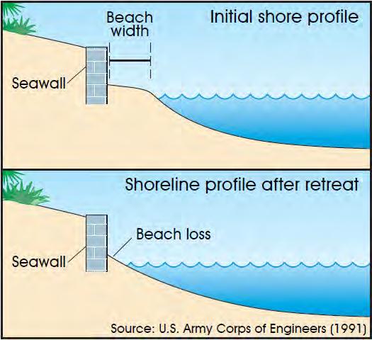 Beach loss eventually occurs in front of a seawall for a beach experiencing net longterm