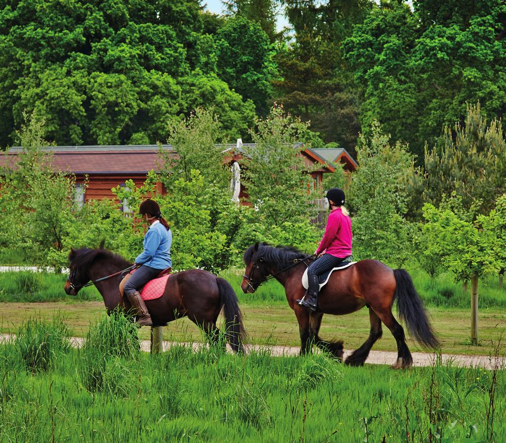Pony rides There s no better way of enjoying the lovely lakeside surroundings than from horse back. Our gentle ponies are ideal for first timers as well as for people who have ridden before.
