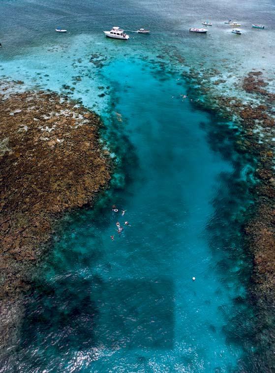 Belize To p 1 0 R e a s o n s Yo u l l L o v e By Keith Phillips 1Hol Chan Marine Reserve Hol Chan is Mayan for Little Channel and refers to the deep cut in the barrier reef off Ambergris Caye (#3).