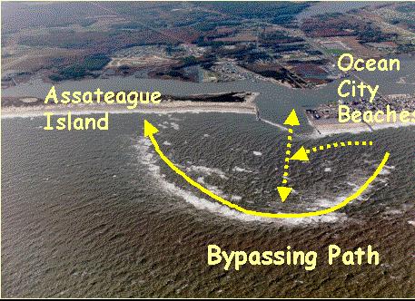 erosion hazard management Dune erosion, overwash, & breach