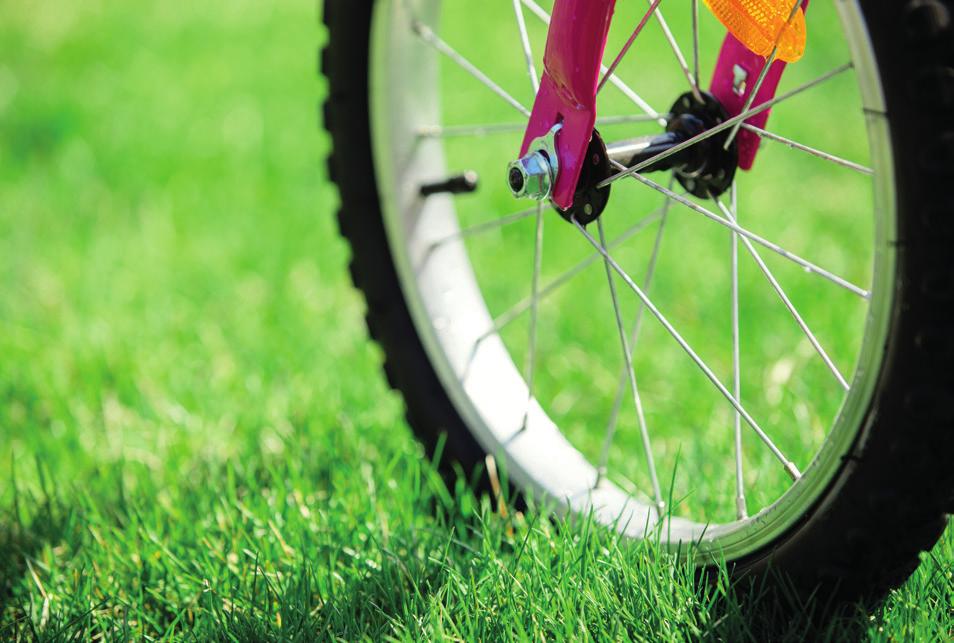 Make sure there s nothing stuck in the tyre, and there aren t any broken or damaged spokes.