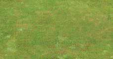 SOFT SURFACES With materials such as turf,
