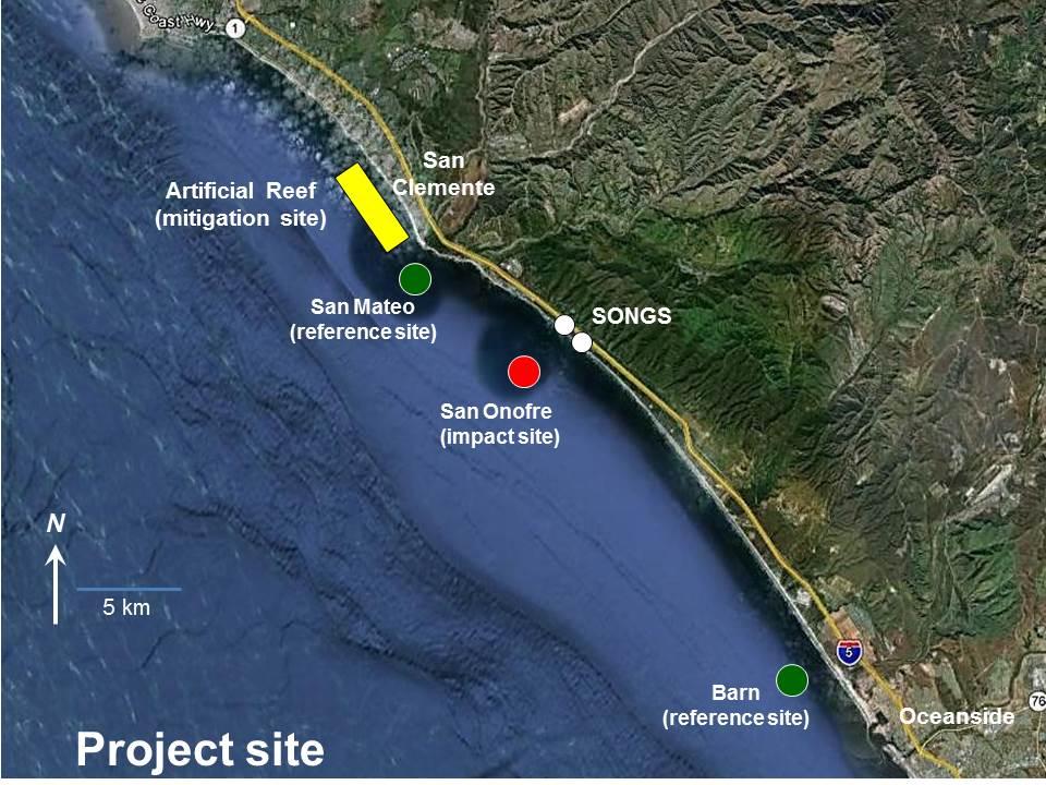 3. Project Description Mitigation for SONGS impacts to the San Onofre kelp forest through the construction of an artificial reef is being done in two phases: a short-term, small-scale experimental