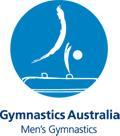 Men s Artistic Gymnastics Team Requirements: First and foremost, this competition is a team event.