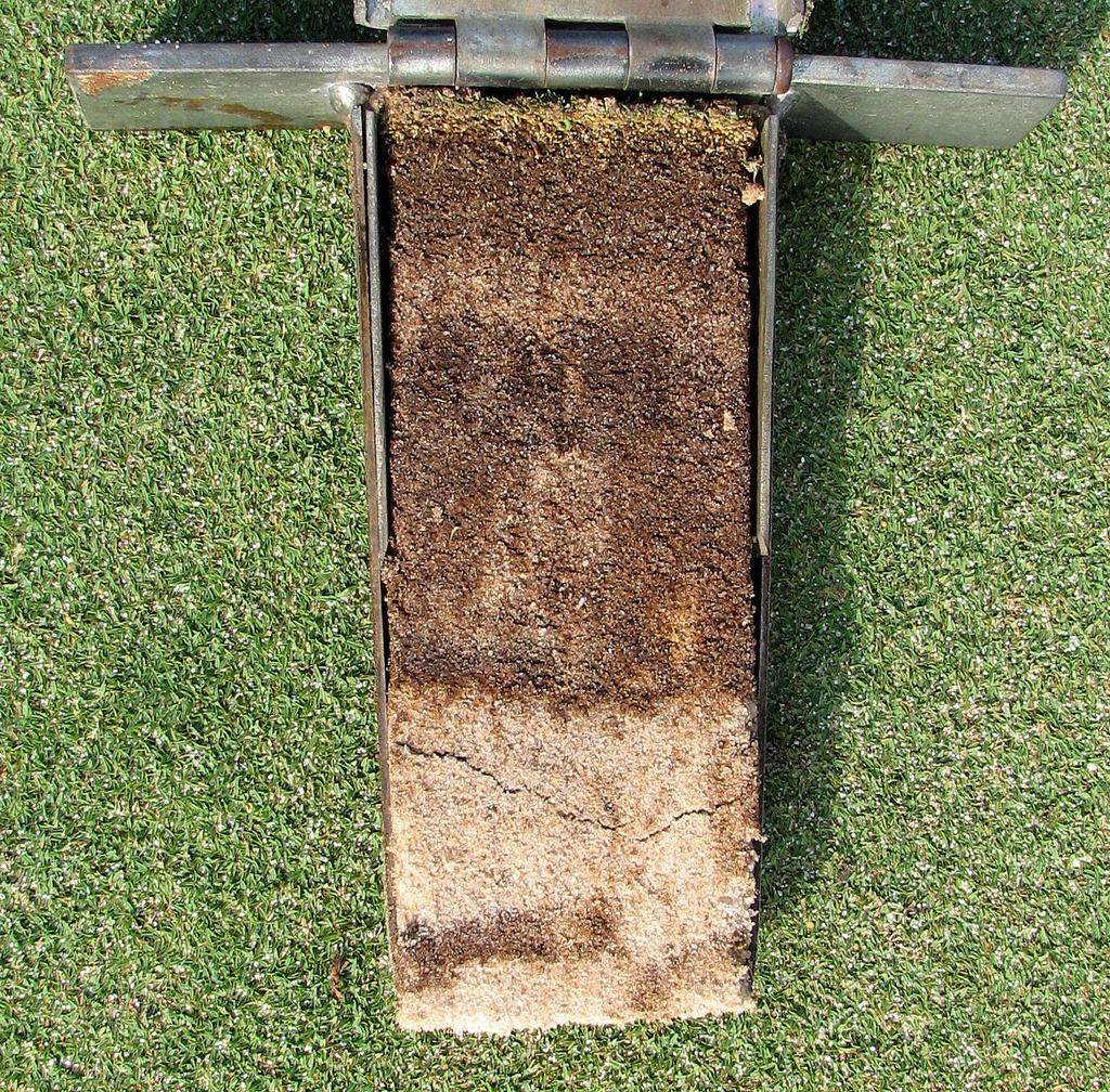 Naples Heritage Golf & Country Club Page 3 of 6 An effective core aeration program is necessary to maintain appropriate organic matter dilution and relief of soil compaction.