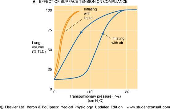Effect of Surface Tension on Compliance Lungs inflated with saline solution (= no air-water interface and null surface tension) have an up to three times higher compliance, proving that the surface