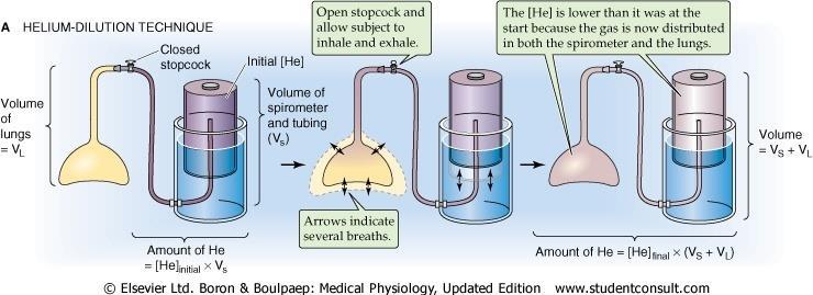 Functional Residual Capacity FRC the volume of air that remains in the lungs