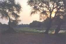 Sunset over the flood plains, southern banks of the Zambezi river at the Mana Pools