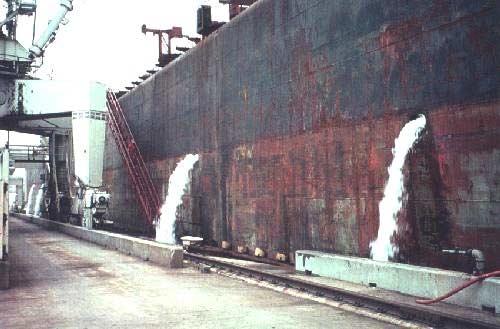 Ships ballast water was the major vector of NIS