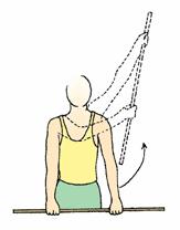 With the stick pressed against your back, bring up both arms as far as possible by bending at the elbow.