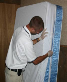 These encasements are entry proof, escape proof and bite proof and will trap the bed bugs inside of the encasement where they will die of starvation.