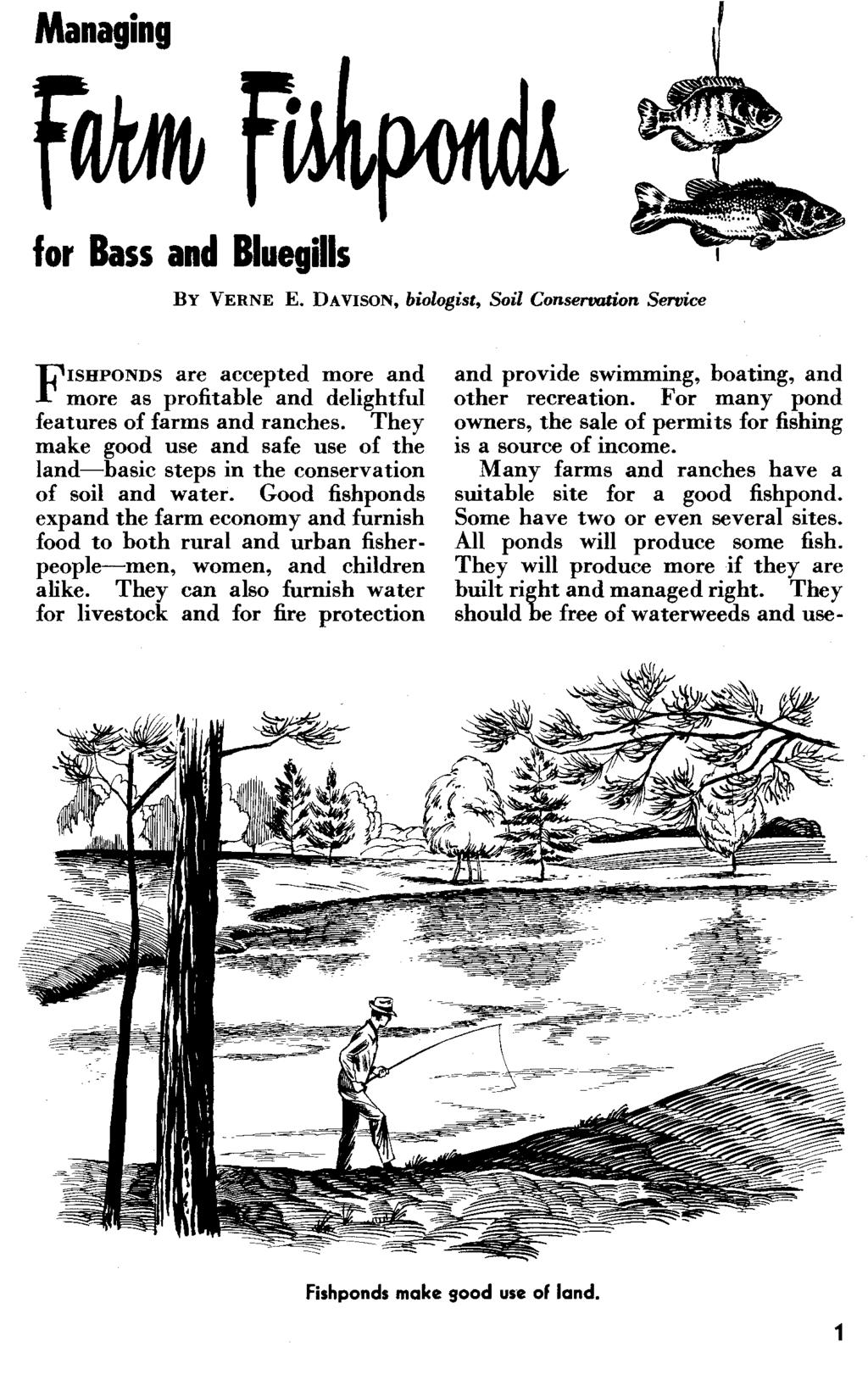 for Bass and Bluegills By VERNE E. DAVISON. biologist. Soil Conservation Service FISHPONDS are accepted more and more as profitable and delightful features of farms and ranches.
