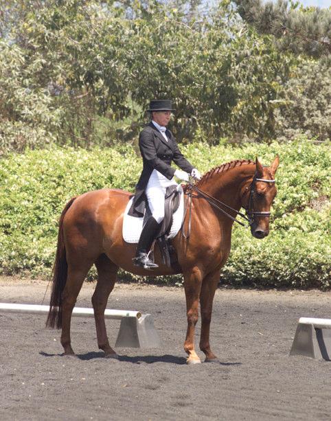 Breen-Gurley, (S ), CA Level 2 Dressage Competition #325708 Show