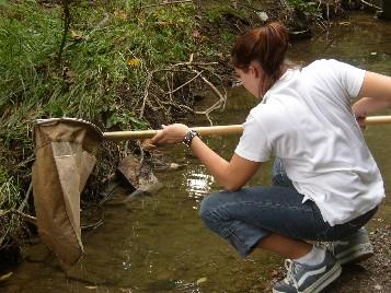 Science Explorations and Connecting Creeks - continued from pg. 1 of classroom presentations or activities.