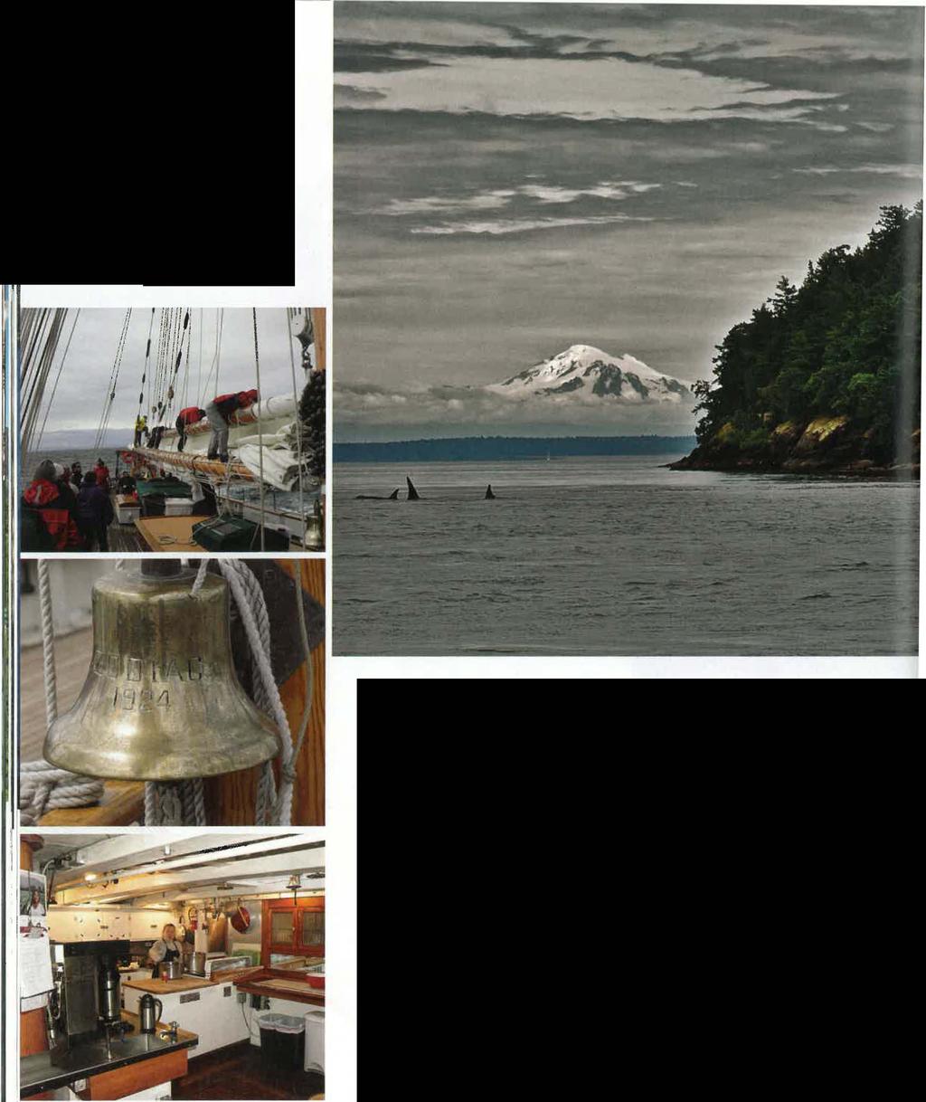 RIGHT: Orcas sighted near Turn Point Lighthouse on Stuart Island. Jim Maya/San Juan Islands Visitors Bureau BELOW: Securing the sails on board the Schooner Zodiac.