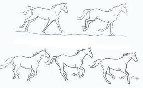 Canter/ Lope The canter or lope is a three beat gait. The outside hind leg comes down first, then the inside hind and outside front come down together and lastly the inside front leg.