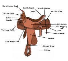The main tack that we use is: a halter, a saddle, a girth or cinch, a saddle blanket and a bridle.