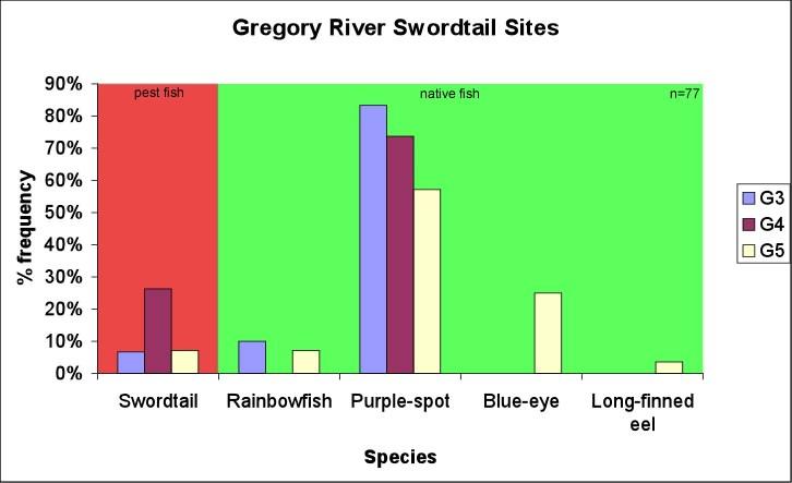 At the three upper Gregory River sites, swordtails were found to represent approximately 12% of the catch (figure 4) and were the second most abundant species after the purple-spotted gudgeon (71% of
