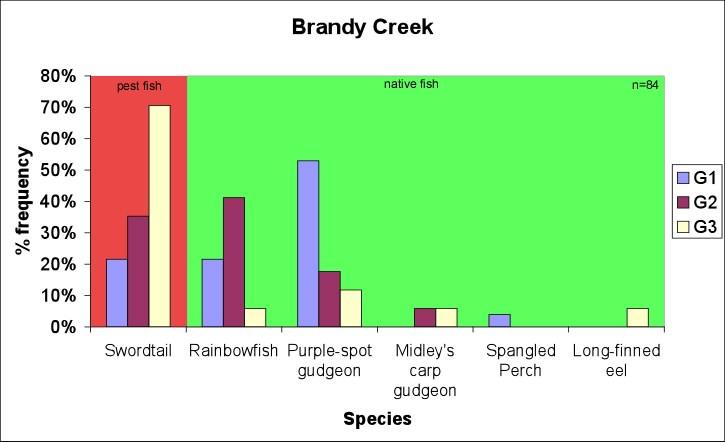 Gregory River Swordtail sites total catch. Sampling at three sites on Brandy Creek found 84 fish from four native and one pest species (figure 5).