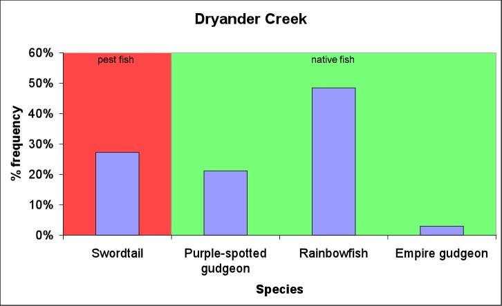 Dryander Creek A total of thirty-three fish from three native and one pest species were sampled at one site on Dryander Creek (figure 6).