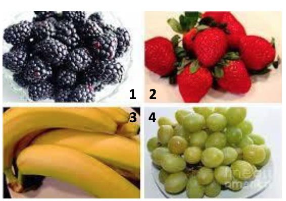 Equipment Required: Four types of fruit (or pictures of four types of fruit) Table to set fruit on Microphone and Sound System (Depending on Audience Size) 3-4 volunteers to moderate questions and