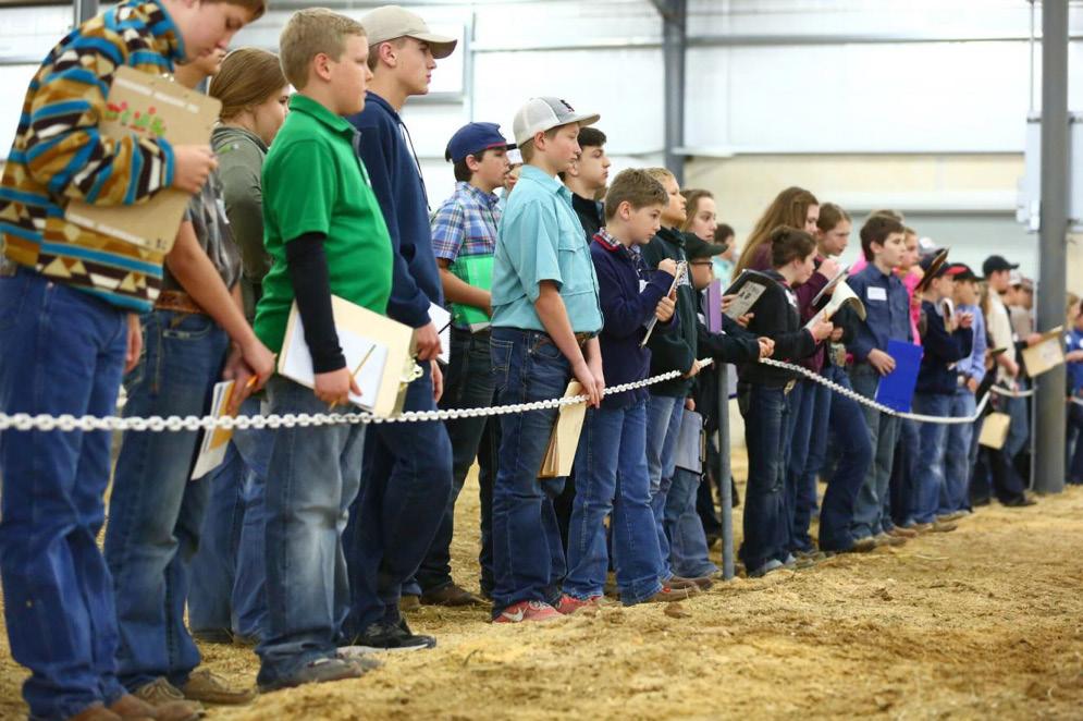 LIVESTOCK JUDGING depending on their age and the contest. Attire: The proper attire for a judging contest varies for each event.