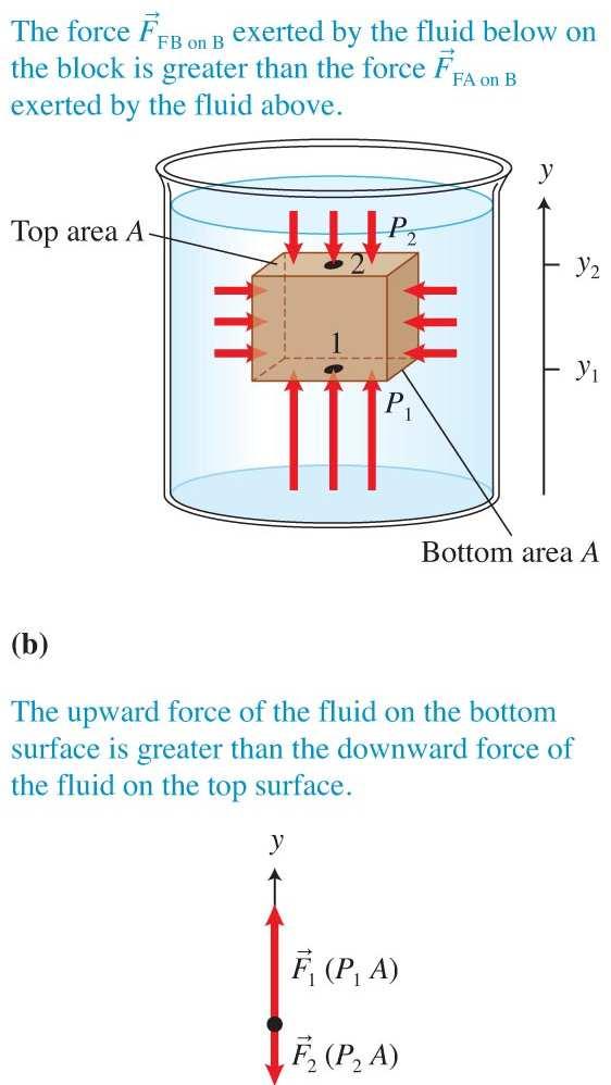The magnitude of the force of fluid on a submerged object The force exerted by the fluid pushing