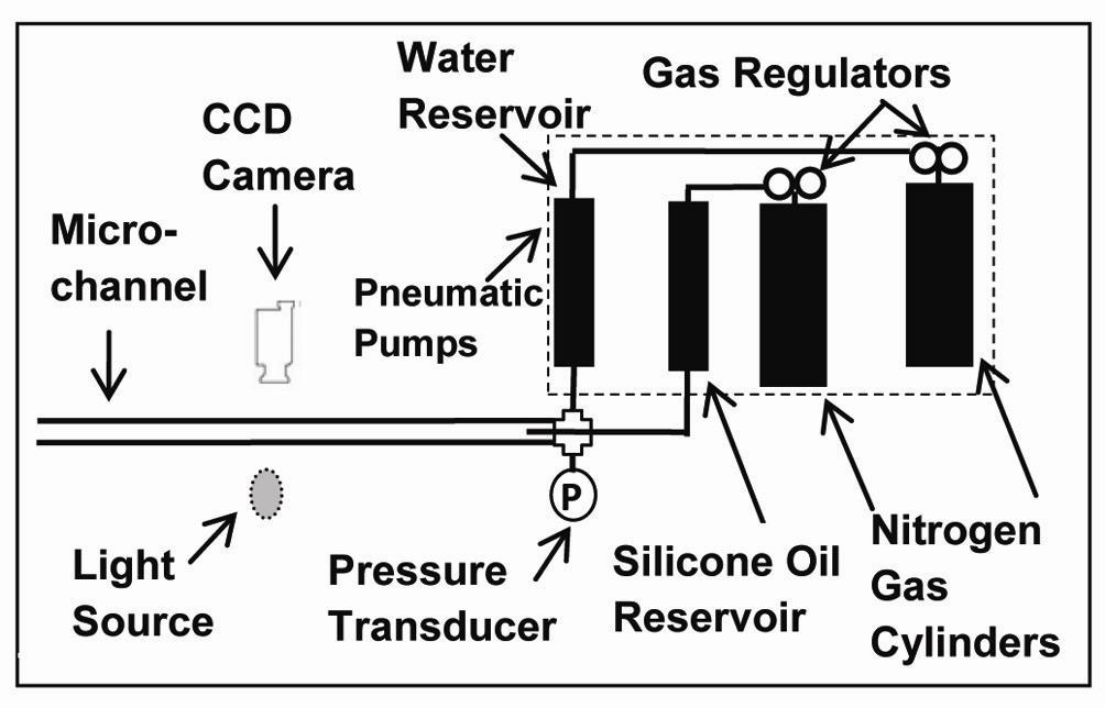 1 Figure -1: Schematic of experimental apparatus.1..3 Pressure Drop and Flow Rate Measurements A pressure transducer with an accuracy of 1.7 kpa (0.