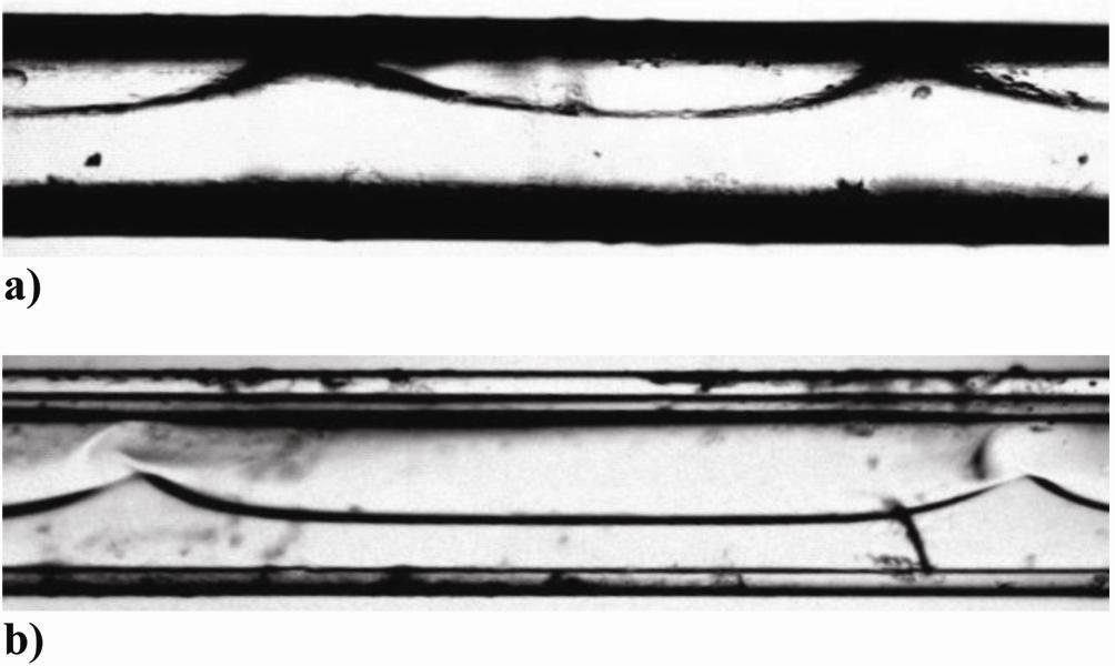 14 used, optical correction was necessary to capture undistorted and clear images of fluids across the entire inner cross section of the microchannel.