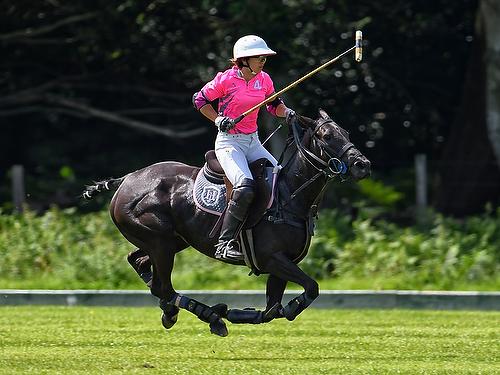 What makes it perfect for you Polo is not only a great sport to watch but also a wonderful day out enjoyed by all.