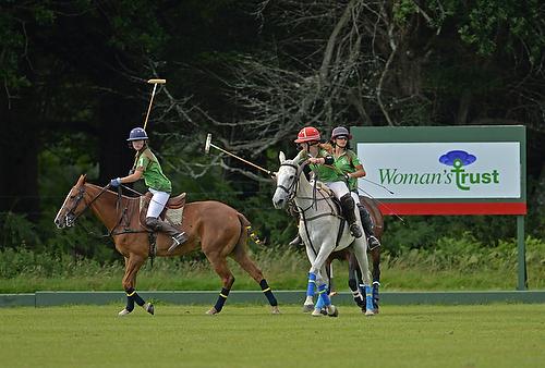 NFPC Sponsorship Brochure 2018 Ground Sponsor 2018-1000 This seasonal sponsorship package provides your business with recognition over the entire polo season.