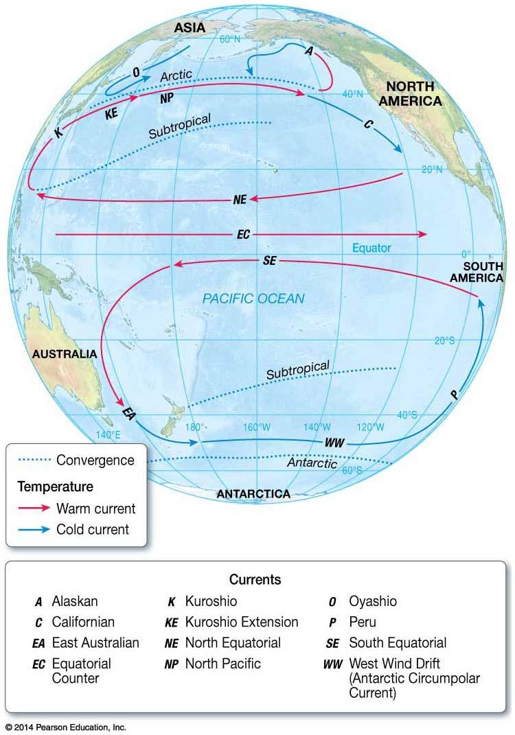 Figure 10.12. Surface currents of the Pacific Ocean. The cold waters off the west coast of South America are one of the most productive fishing grounds in the world.