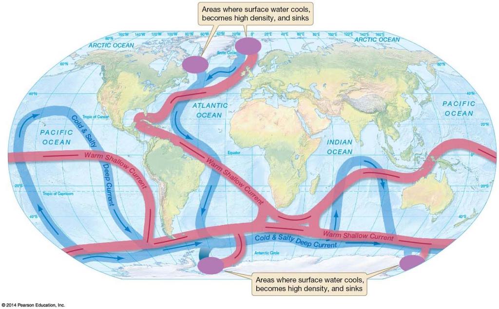 This movement of water created by thermohaline circulation is quite slow, but it creates a circulation pattern that exchanges water between the surface and depth and between ocean basins over a