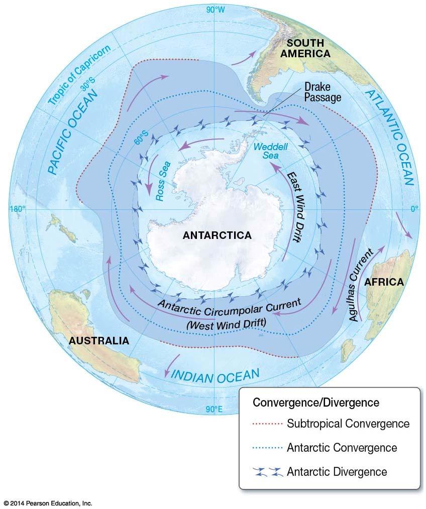 Figure 10.6. Antarctic surface circulation, dominated by the easterly flowing Antarctic circumpolar current.
