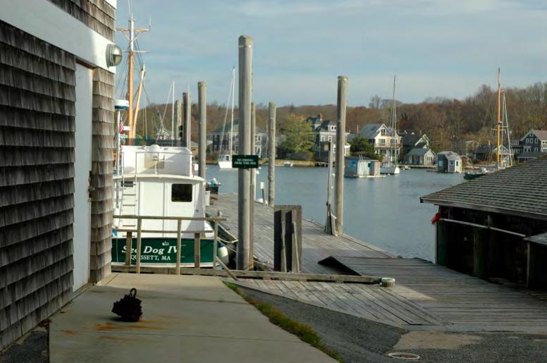 Report on 2011 Surveys of Marine Invasive Species, Cape Cod Eel Pond, Woods Hole Location: Marine Biological Laboratory (MBL) dock Total # high-resolution photos: 29 Comments: This site would be