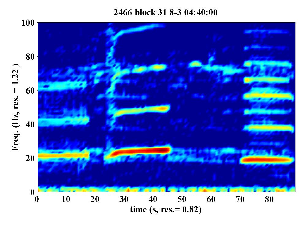 Example pygmy blue whale call, dominant tonal energy at 20 Hz with harmonics, secondary pulsed source at