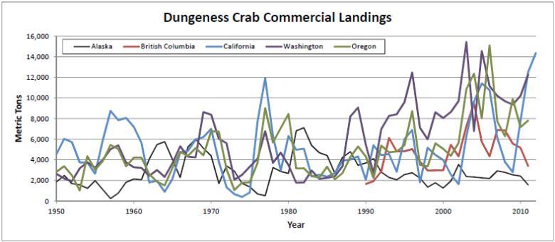 10 Figure 2: Annual Dungeness crab commercial fishery landings 1950-2012 (DFG 2012a, NOAA 2013a, DFO 2013b).