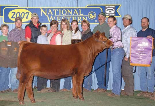 SLGN STONY S SAVANNAH Triple Crown Winner Grand Champion Female, 2006 NAILE Grand Champion Female, 2007 NWSS Grand Champion Female, 2007 FWSS SLGN Stony s Savannah is remembered during her show