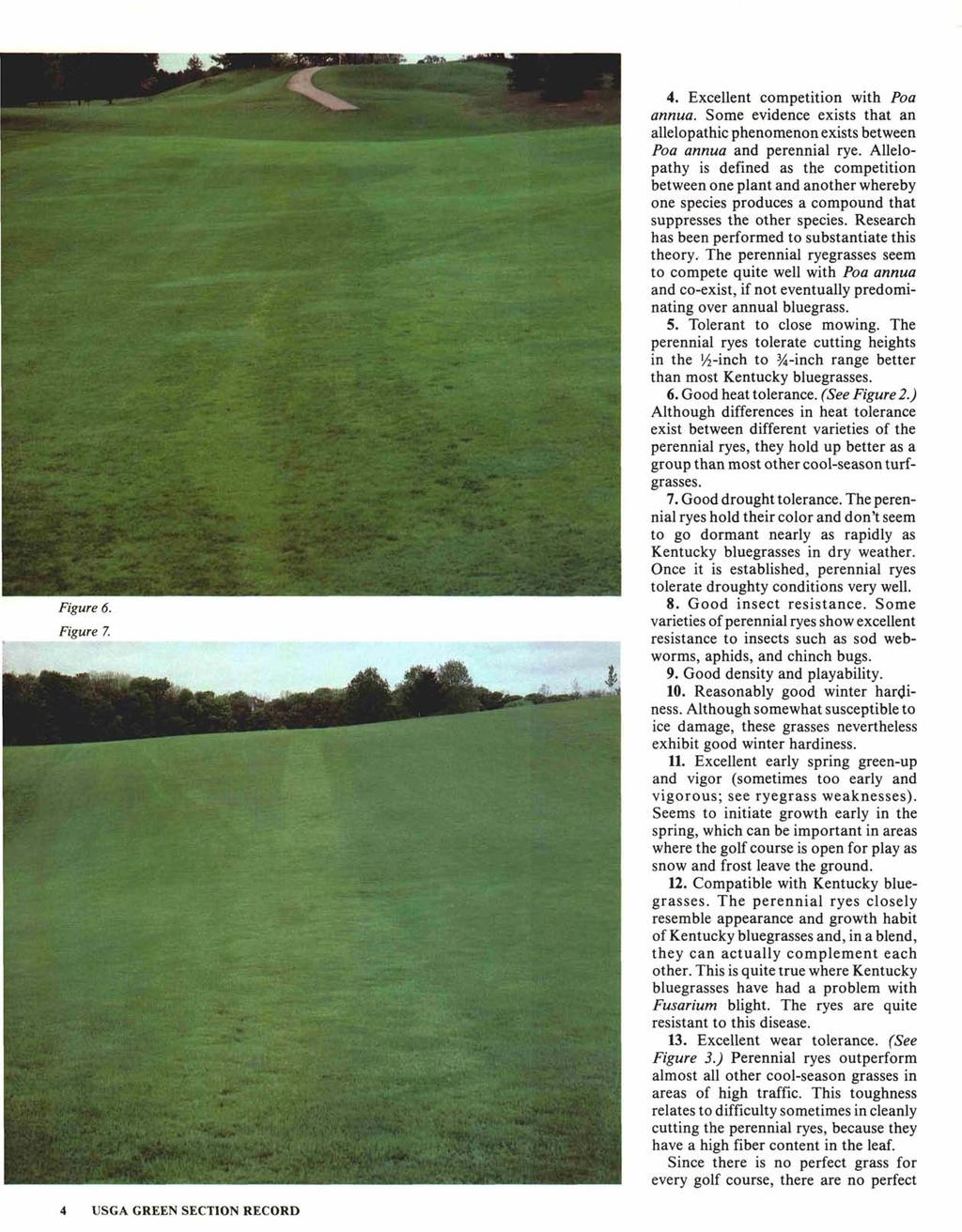 Figure 6. Figure 7. 4. Excellent competition with Poa annua. Some evidence exists that an allelopathic phenomenon exists between Poa annua and perennial rye.