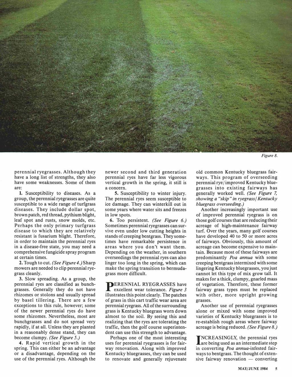 Figure 8. perennial ryegrasses. Although they have a long list of strengths, they also have some weaknesses. Some of them are: 1. Susceptibility to diseases.