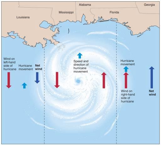 Movement & Wind Speed Saffir-Simpson scale classifies hurricanes into five categories Based on highest wind speed sustained for 1 minute or longer Category 5, > 155 MPH Category