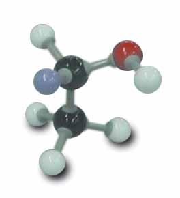 models of molecules shown are mirror images