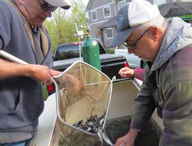 Conservation Group Helps Out Sports Fishery More than fourty people aged two to eighty-two showed up. They had one thing in common.