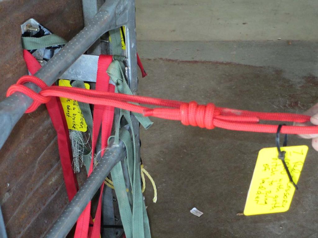 Tag 7, No Rating Red accessory cord attached to a ladder rung