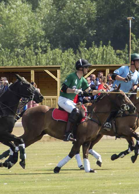 VIP Enclosure Sponsor The VIP Enclosure will be known as (Your Company Name) Enclosure Logo on all Cambridge County Polo Club promotional emails Logo on all Cambridge County Polo Club promotional and