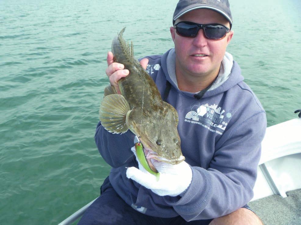 ABT Bribie Island Flathead Round By Keith Stratford Winter and spring are great seasons to be out on the water chasing a few lizards.