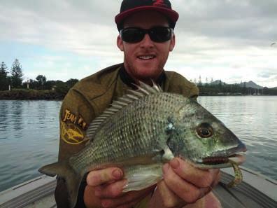 Bream can be found in a wide variety of areas, including shallow sand flats, weed beds, rock walls, canals, moored boats, deep holes, oyster leases, bridge pylons, shallow reefs and natural structure.