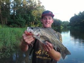 Not only are bass hard fighting, they love smashing lures, with surface feeding fish very common in the late afternoon and early morning.